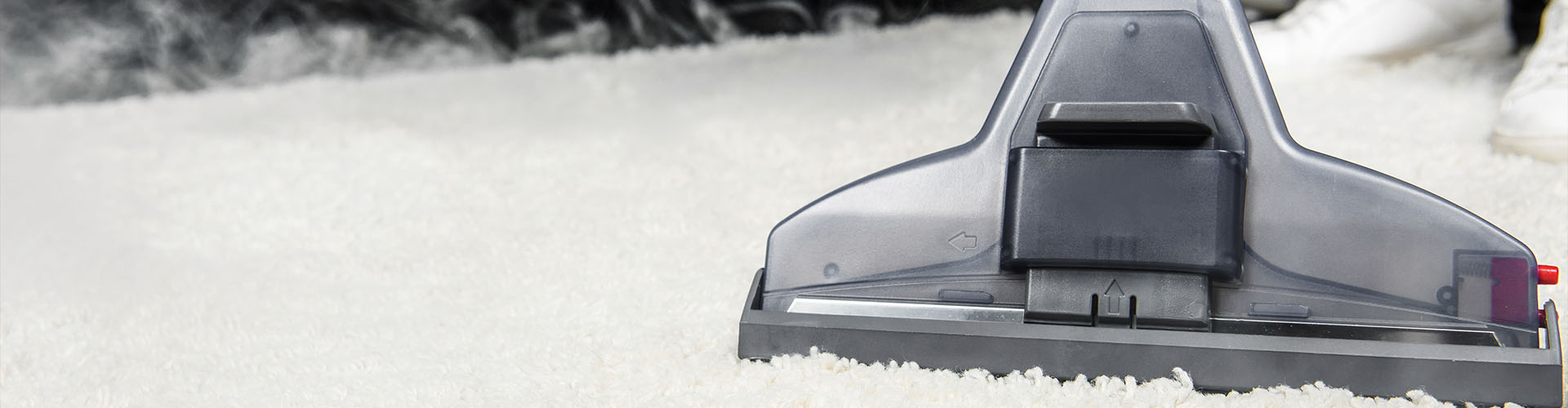 Common Carpet Cleaning Misconceptions Clarified